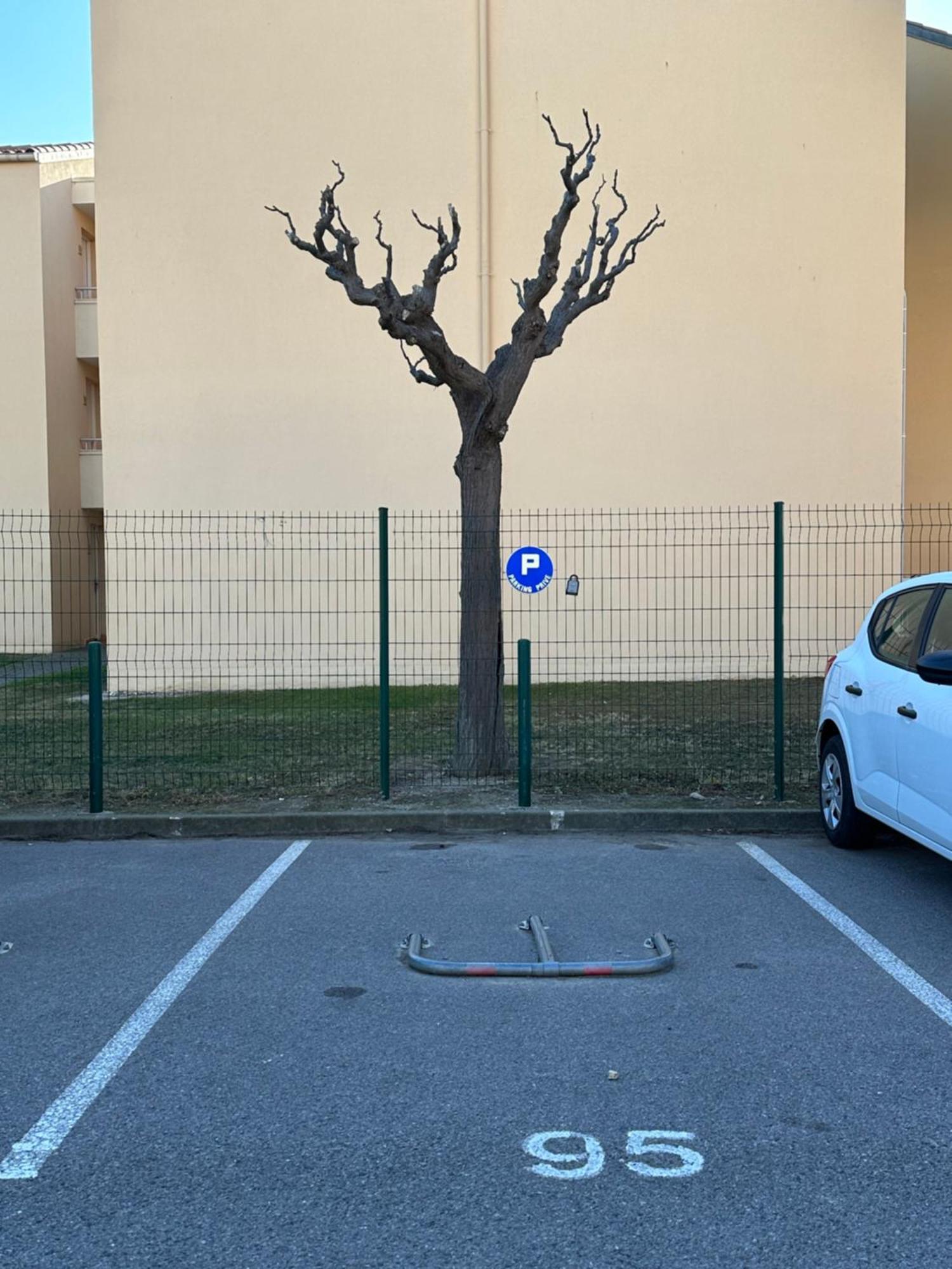 T2 Rdc A Canet En Roussillon Europa 4 Pers ,Piscine,Clim, Tennis, Parking Zewnętrze zdjęcie
